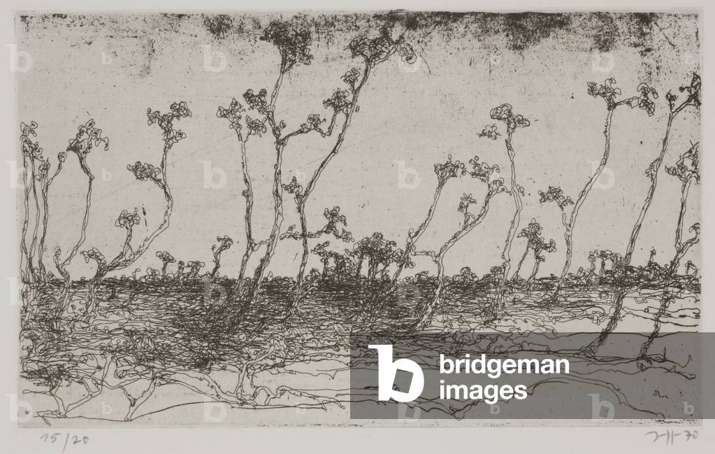 Paesaggi - foresta leggera, 1970 (acquaforte)