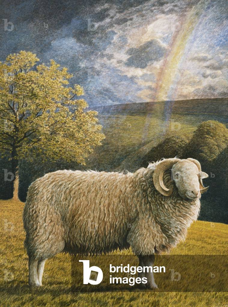 White faced Woodland Sheep, 1993 (tempera su gesso pannello)