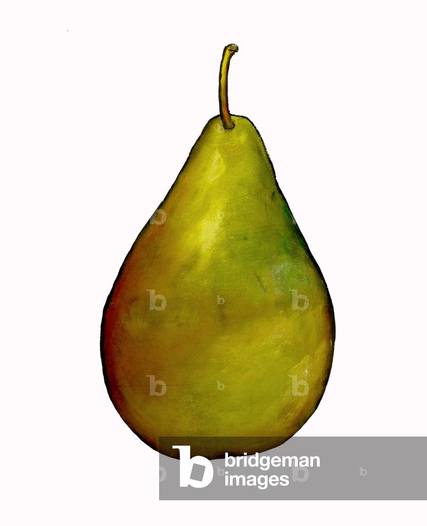 Image of Painting depicting pear (acrylic) by Sarah Thompson-Engels
