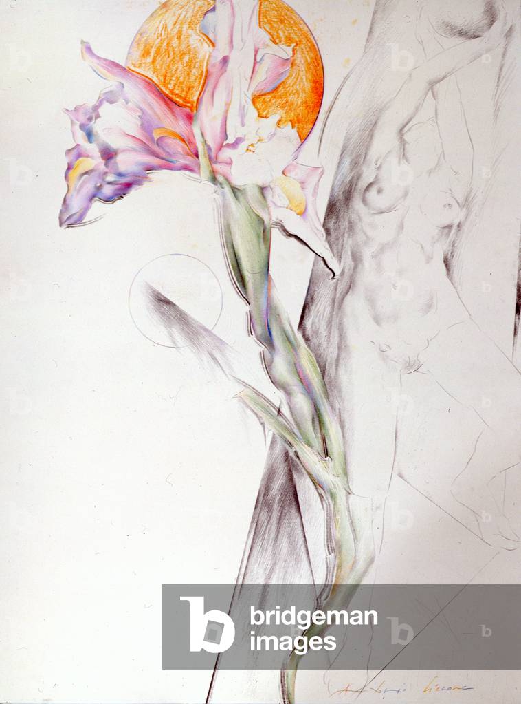 Iris - Composition II