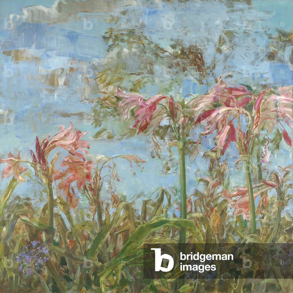 Immagine di Dipinto "Cielo dietro Crinums", 2005 di Emily Patrick