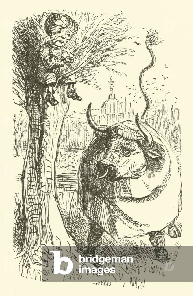 "Stier und Junge (Gravur)" von John Leech, b/w