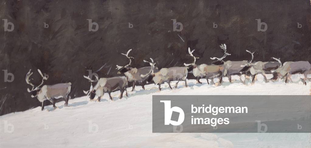 Reindeer 1955 by Vadim Trofimov