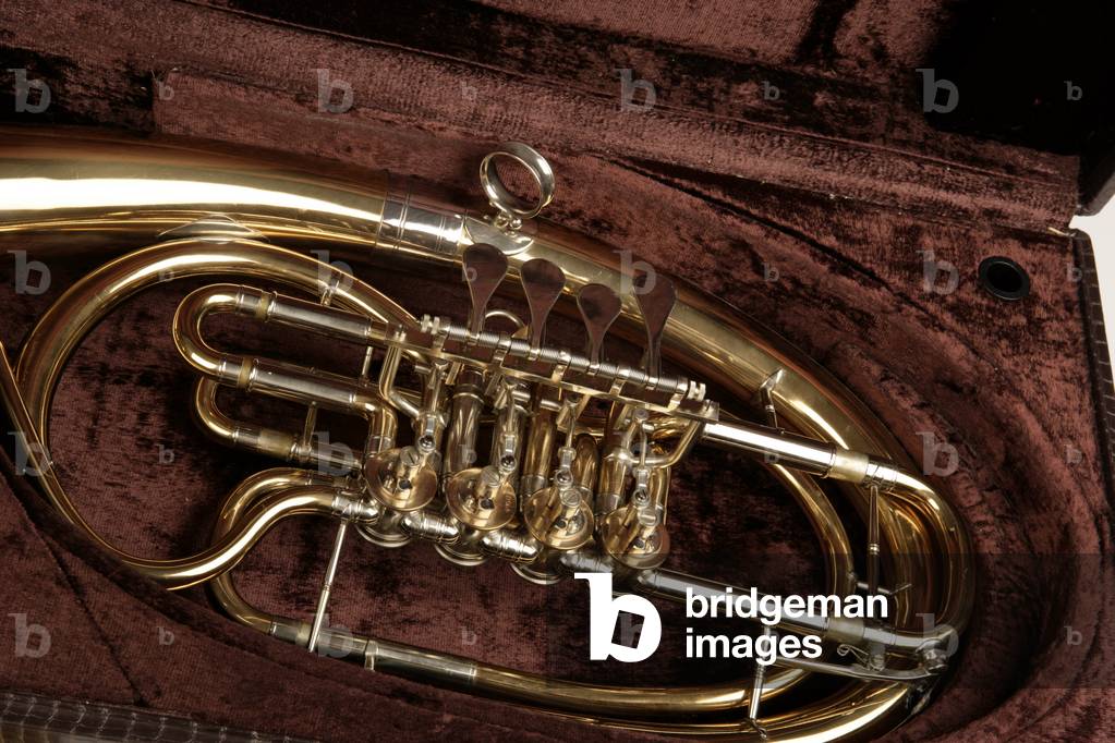 Bild von Fotografie "Wagner Tuba in einem Koffer" von Chris Stock