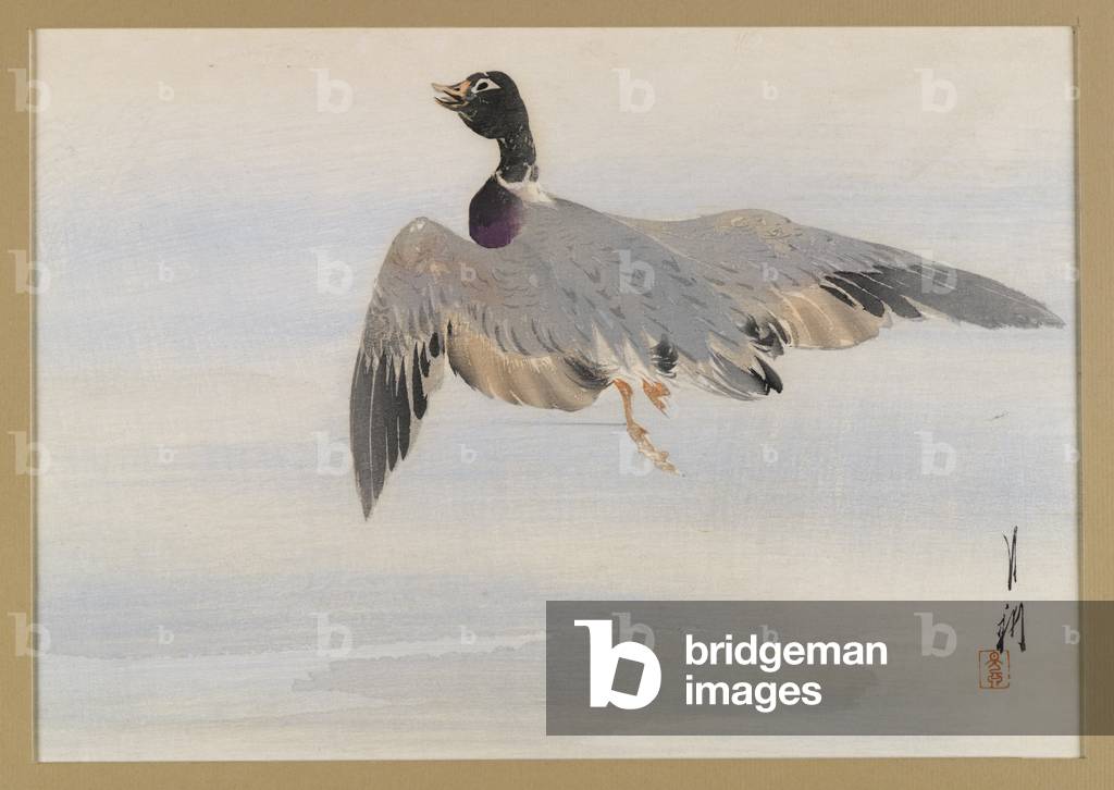 Bild von Druck "Ente" von Ogata Gekko, b/w