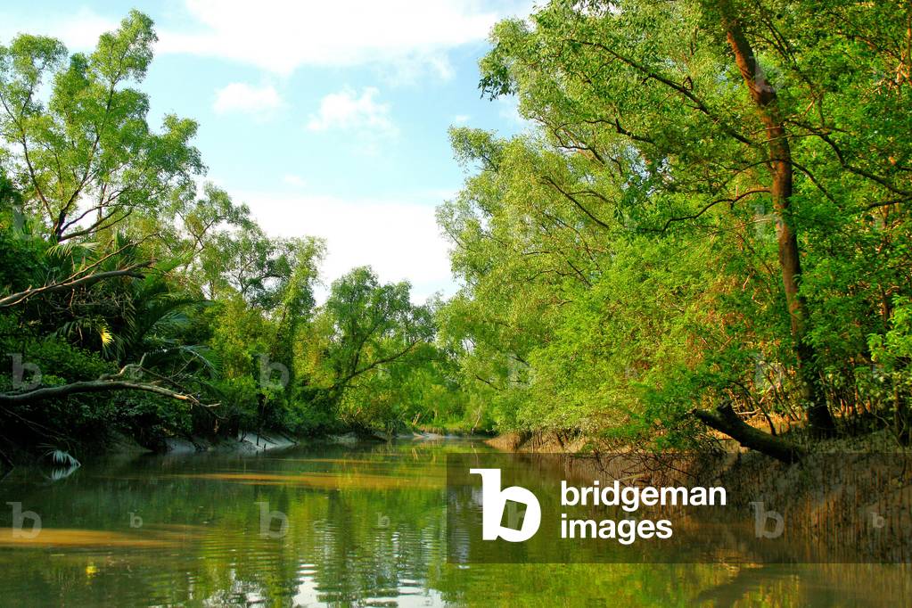 Image of A UNESCO World Heritage Site, the Sundarbans is the largest