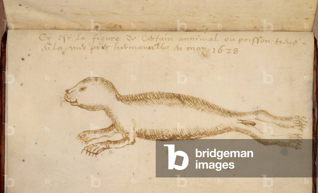 Ms 39 Schizzo di sigillo, disegnato su spiaggia a Hermanville, 1628 (penna & inchiostro su carta)