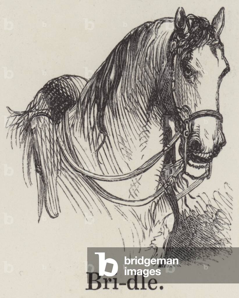 "Briglia (incisione)" di English School