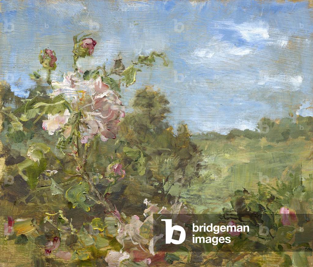 Rose su Dorset Paesaggio pittura