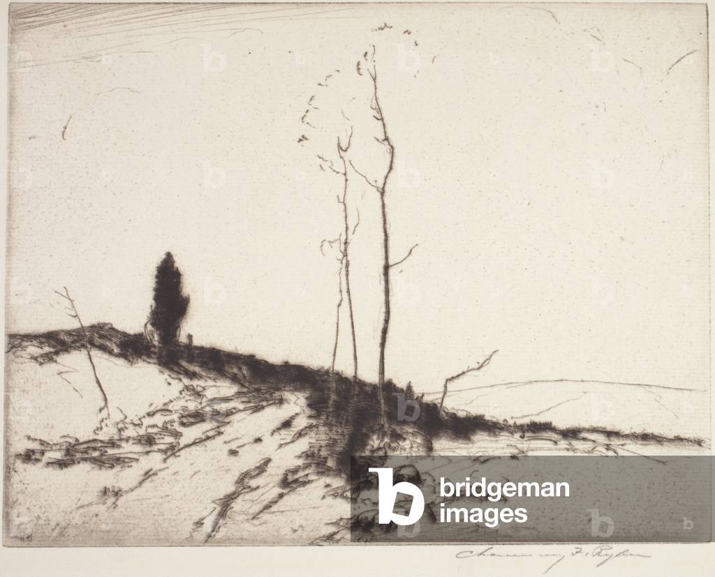 Image of Engraving depicting Road And Cedar Tree (drypoint) by Chauncey Foster Ryder, b/w
