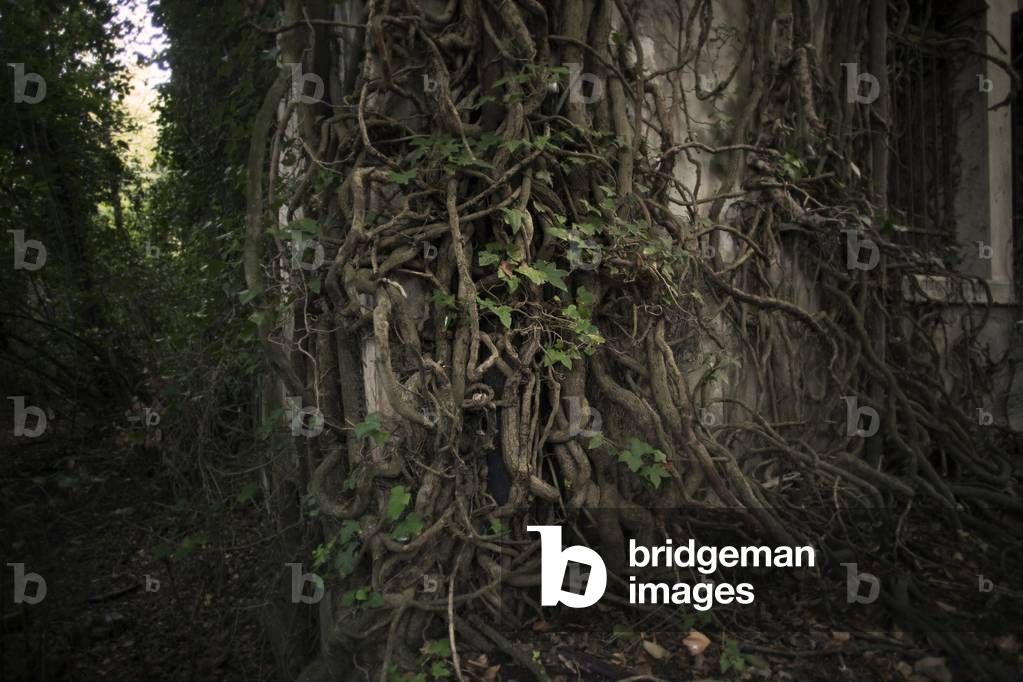 Poveglia Island, Venise, Italie, 2016 (photo)