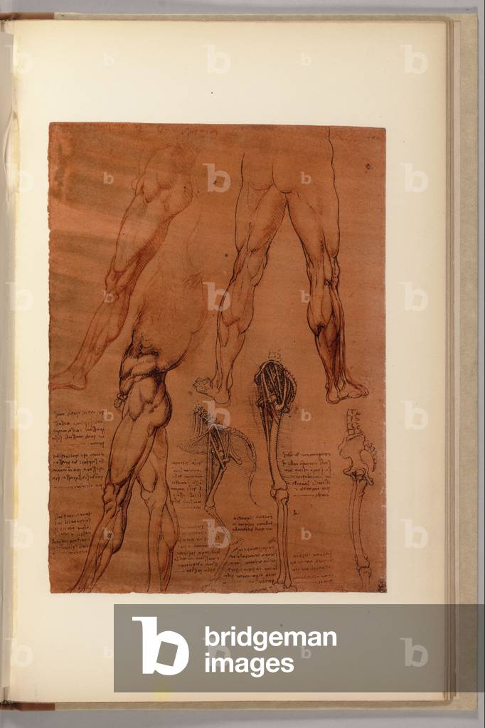 Una pagina da 'Quaderni d'Anatomia, I-VI, 1911-16 (litografia a colori)