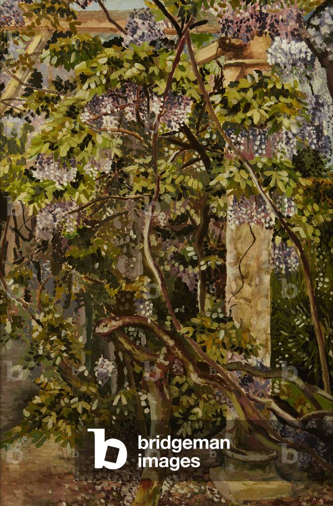 Glicine, 1984 (olio su tela)