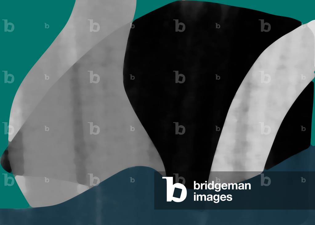 Nebbia marina, 2017 (digitale)