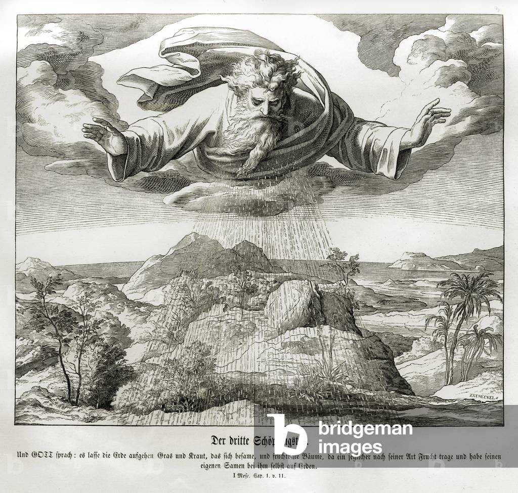 Third day of creation, Genesis