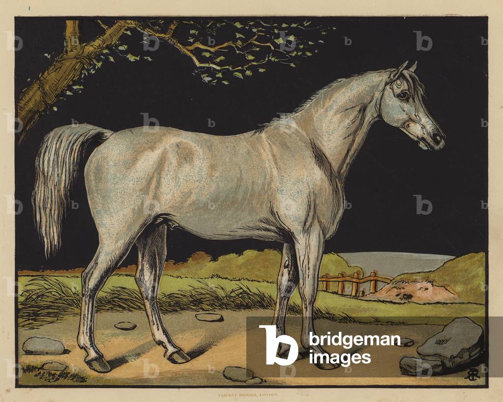 Il cavallo (litografia a colori)