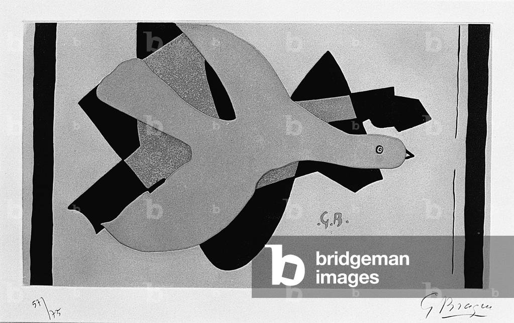 L'Oiseau et son Ombre II, 1961 (gravure de couleur)