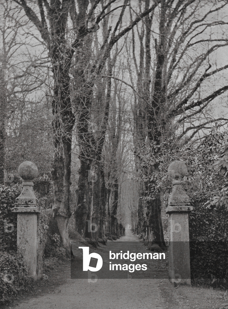Garteneingang von Pentillie Castle, Cornwall (s/w Foto)