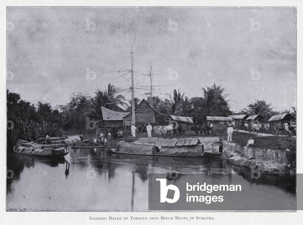 Immagine di Fotografia "Caricamento di balle di tabacco nelle barche fluviali a Sumatra (foto b/n)" di English