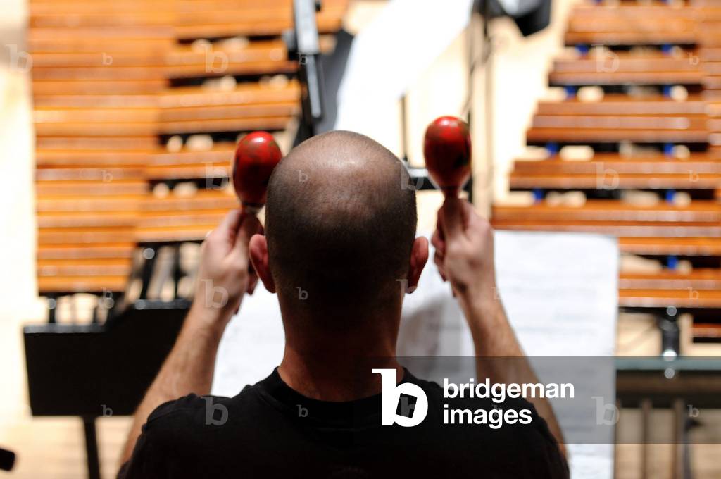 Bild von Fotografie "Performer spielt Maracas" von Justin Piperger