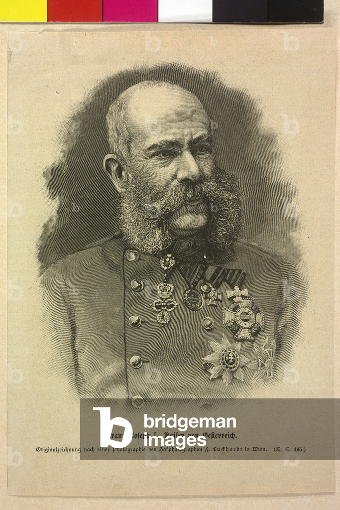 Immagine di Stampa "Franz Joseph I" 1888 di Fritz Luckhardt