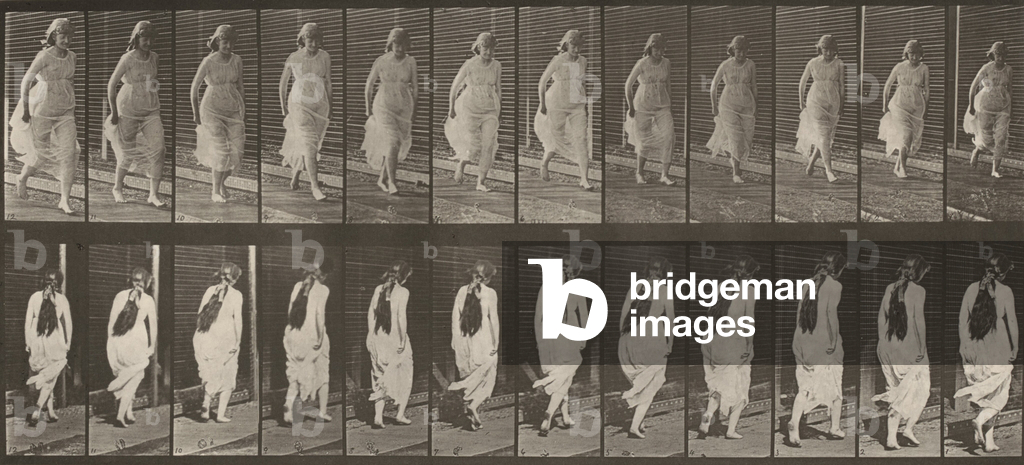 Bild von Fotografie "Teller Nummer 71. Laufend" 1887 von Eadweard Muybridge