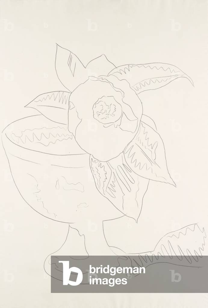 Fiore (# 1-8), 1975 (grafite su carta) (vedi anche 780227-34)