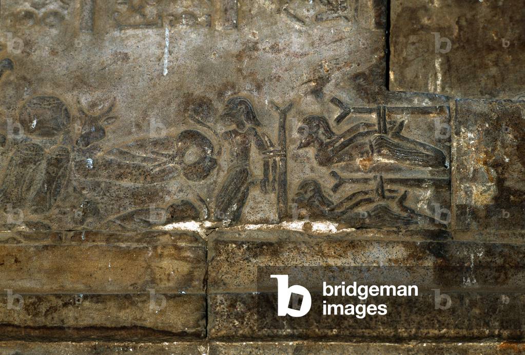 Immagine di Fotografia "Arte egizia: Prigionieri - Tempio di Sobek e Haroeris" -181