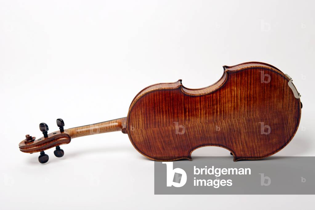 Immagine di Fotografia "Retro di un violino realizzato da J. B Vuillaume" di Chris Stock, b/w