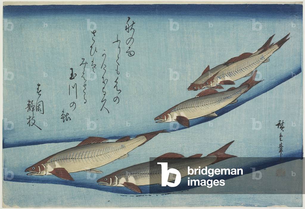 Trout, 1832-33 (colour woodblock print)