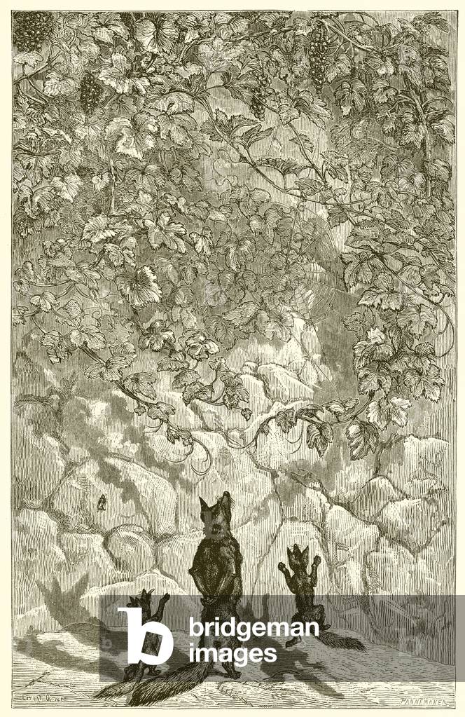 "La Volpe e le Uva (incisione)" di Ernest Henry Griset, b/w