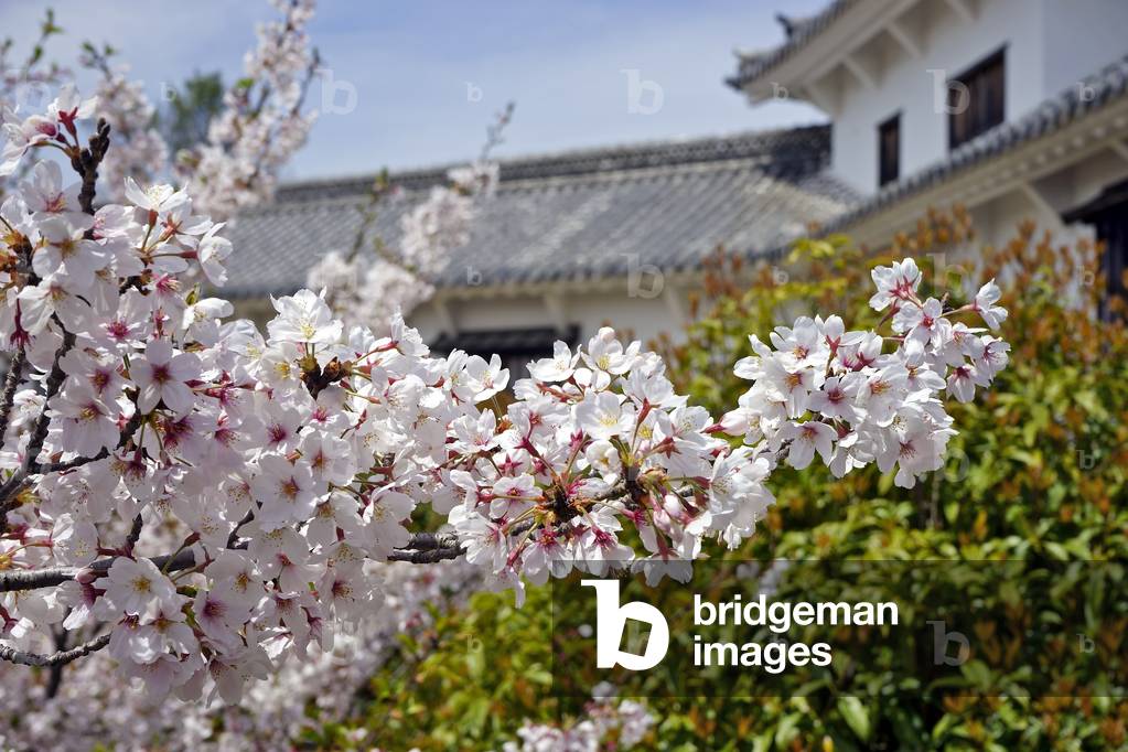 Image de Photographie représentant Château de Himeji. 2012