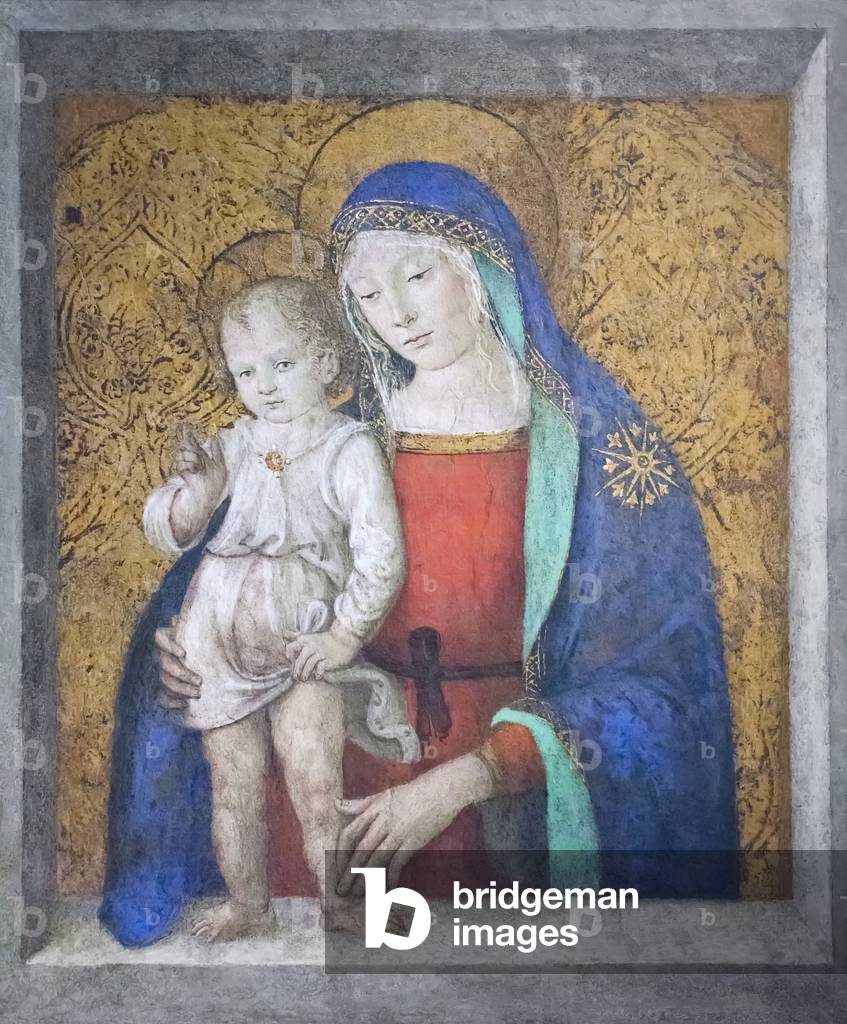 Immagine di Dipinto "Madonna del Davanzale" 1498 di Bernardino di Betto Pinturicchio