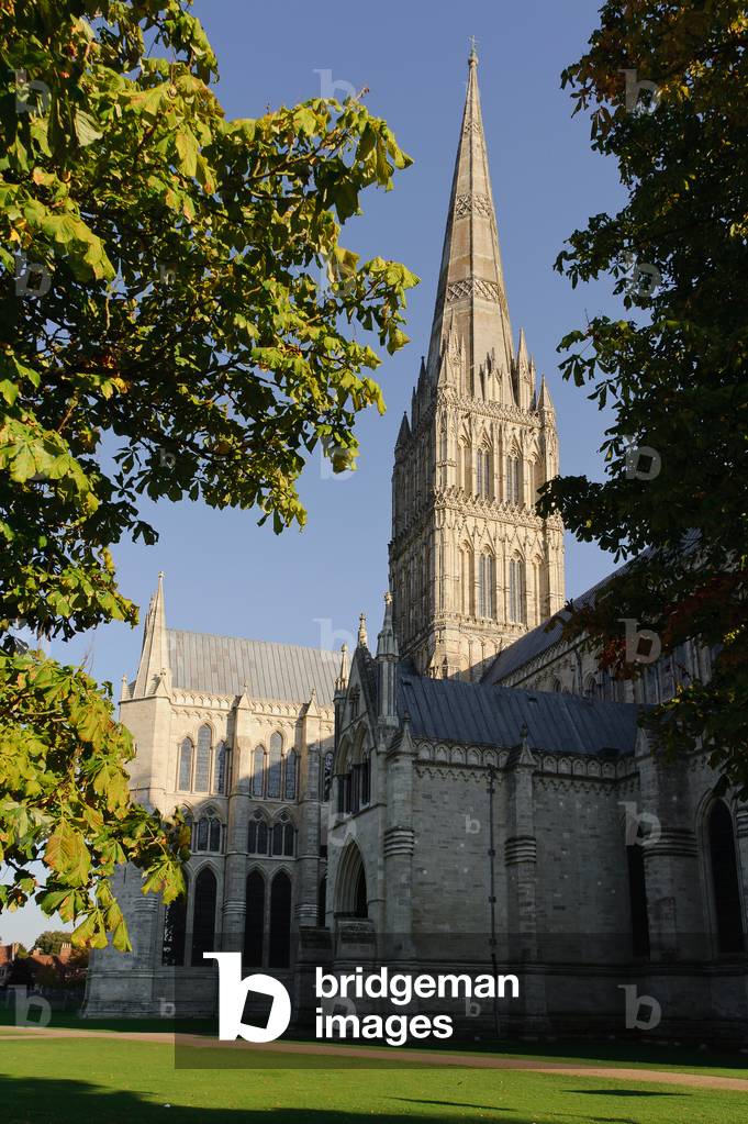 Summer at Salisbury Cathedral (photo)