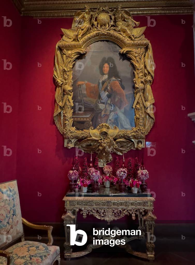 Bild von Fotografie "Château Chenonceau"