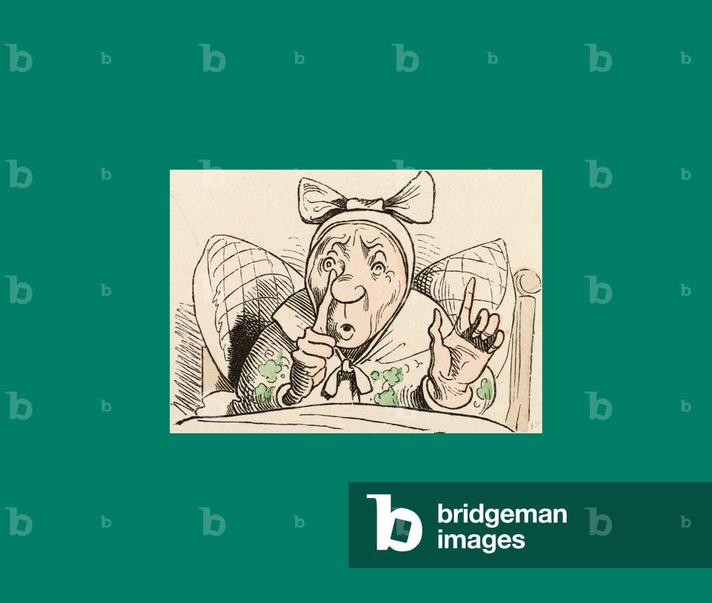 Schnaken und Schnurren, 1866, Mücken und Schnurren. Eine humorvolle Geschichte in Bildern vom Autor und Illust