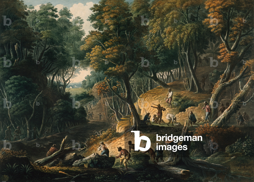 The Maroons in Ambush on the Dromilly Estate in the Parish of Trelawney, 1801 (hand-coloured aquatint and etch