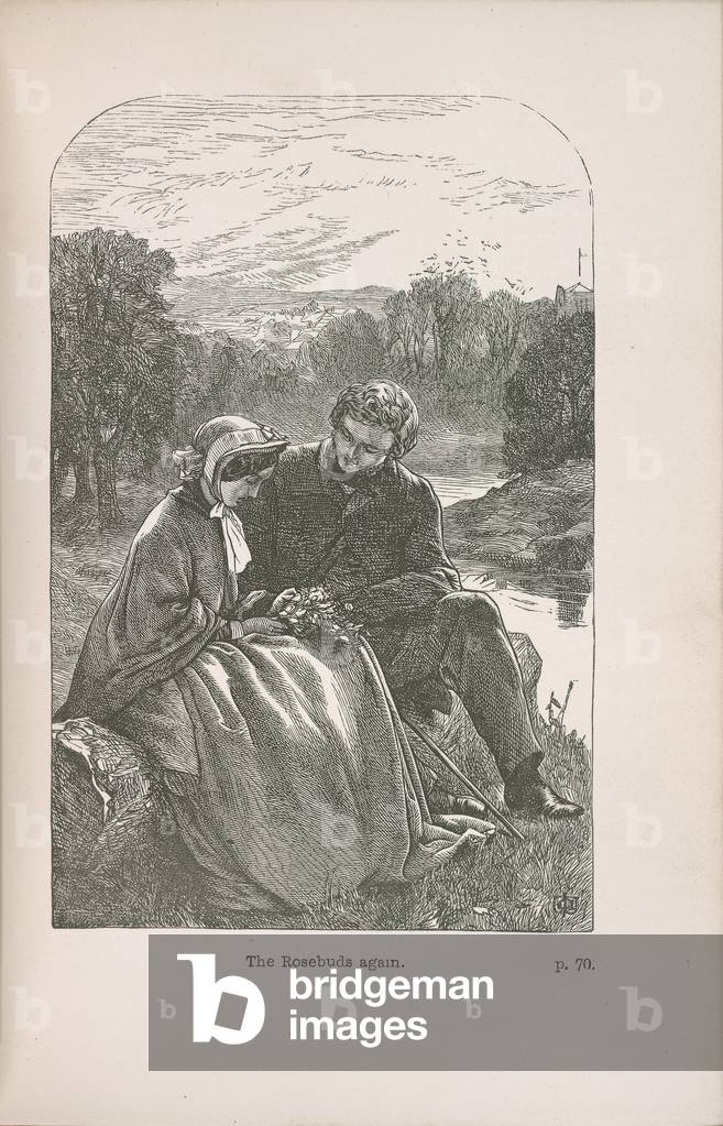 I boccioli di rosa di nuovo