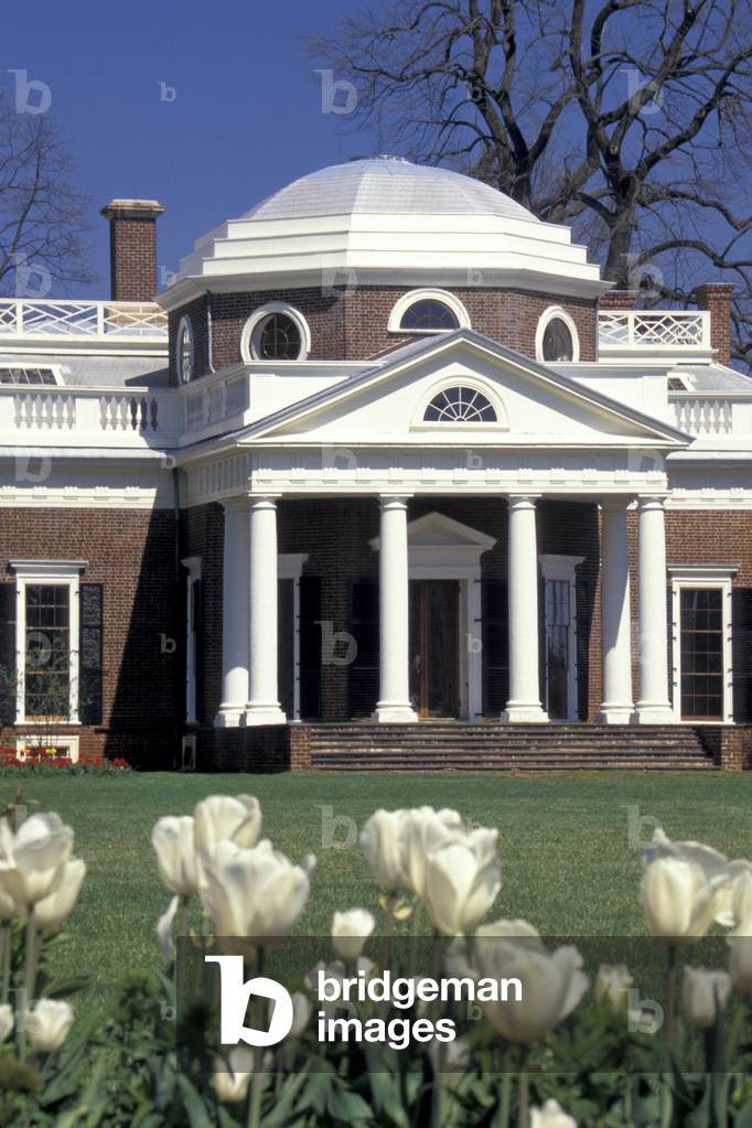 Immagine di Fotografia "Virginia"