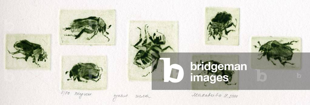 Bugs, 2000 (drypoint)