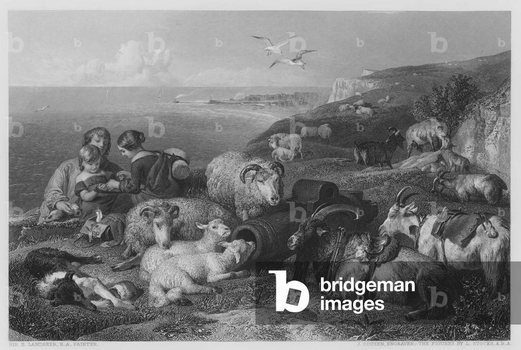 "Pace" di Edwin Landseer, b/w