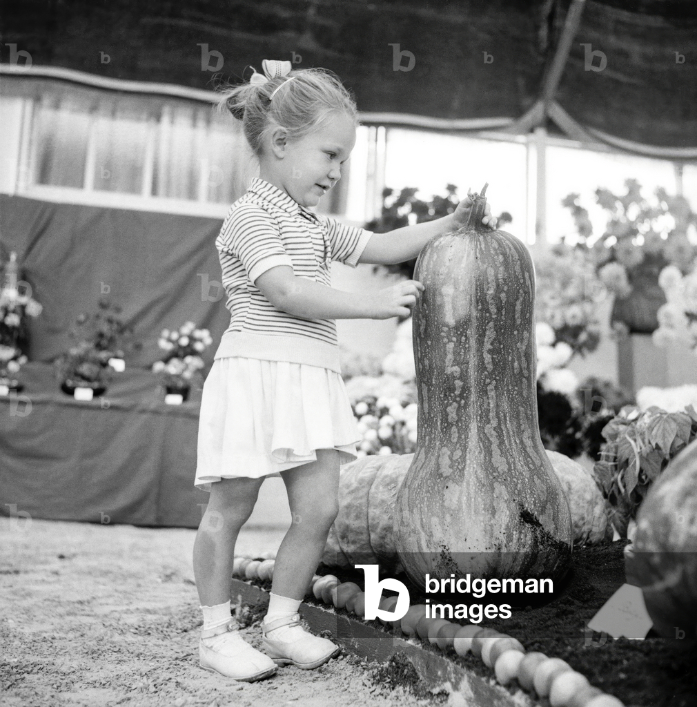 Image of Photography depicting Zucchini 1957, b/w