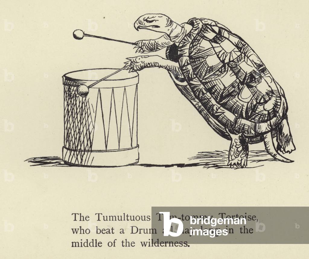 "Il tumultuoso Tom-tommy tartaruga (incisione)" di Edward Lear