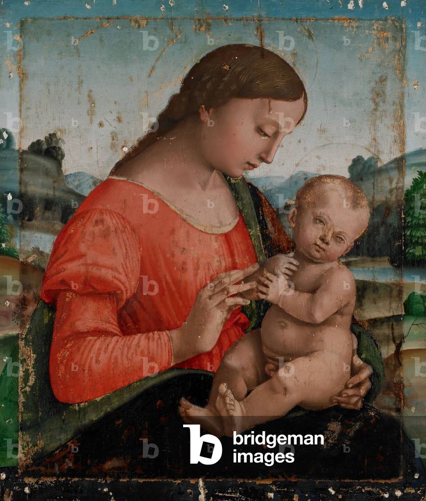 Madonna und Kind, 1500-06 (Öl und Tempera auf Pappelplatte)