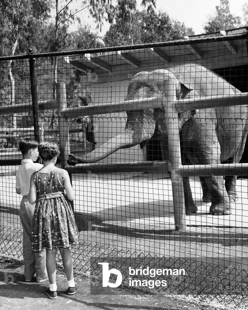 Bild von Fotografie "Rückansicht eines Jungen und eines Mädchens", b/w