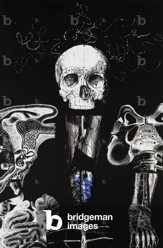 Riassemblare il Sé 1, 2012 (litografia)