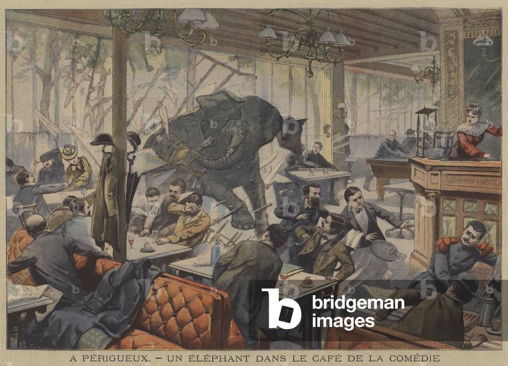 "Ein entflohener Elefant auf der Welle im Cafe de la Comedie in Perigueux" von French School