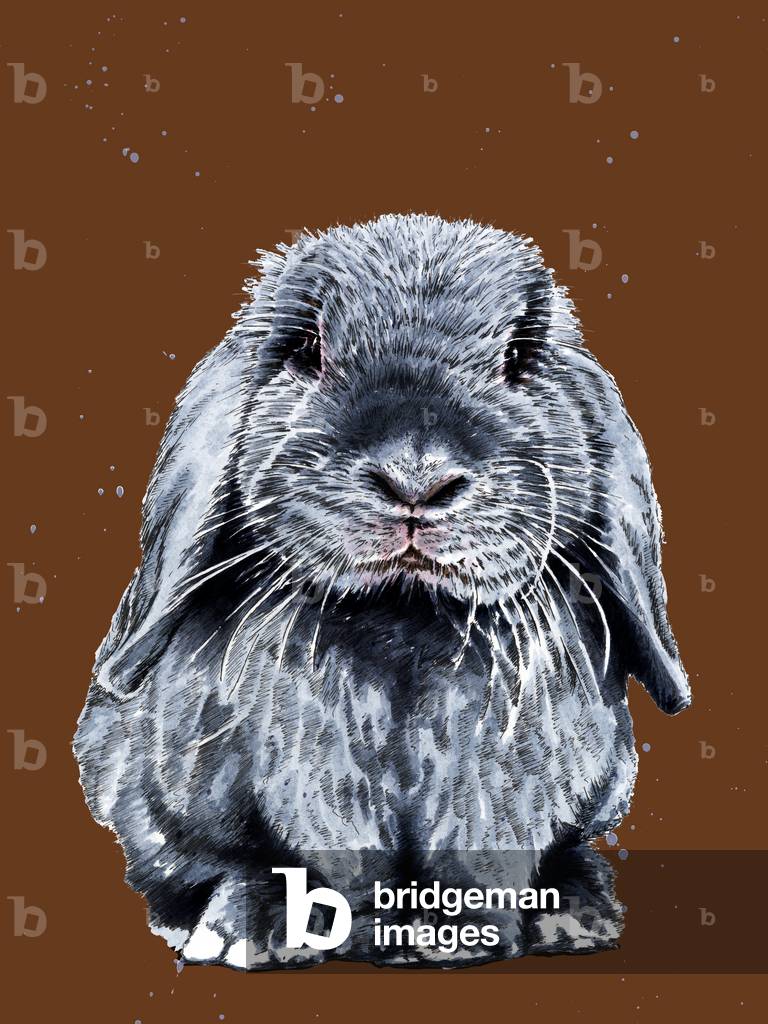 Grey One The Bunny on Burnt Orange, 2020, (pen and ink)