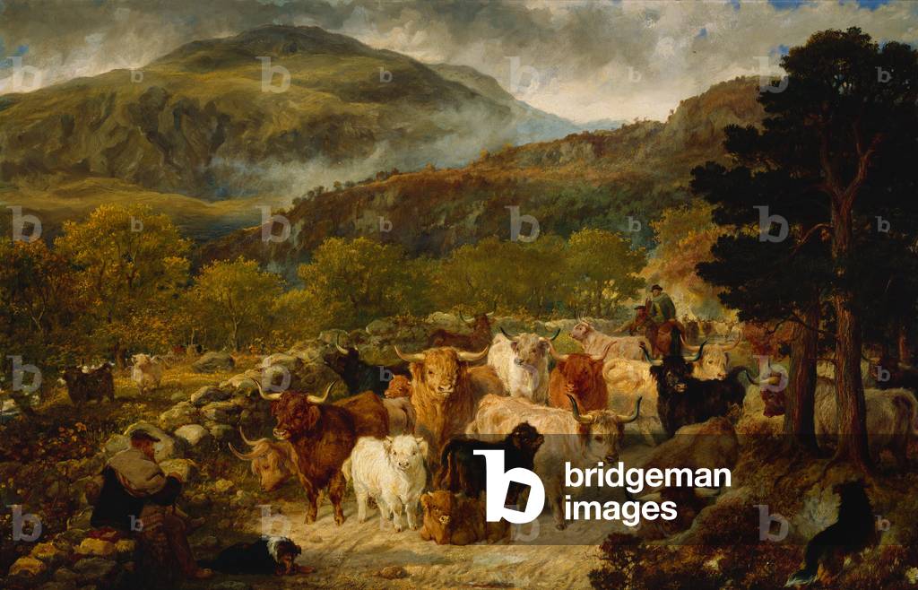 Hochlandrinder im Pass von Leny, 1876 (öl auf leinwand)