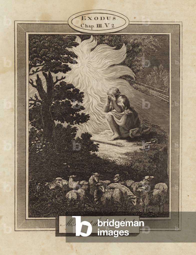 "Moos am brennenden Busch (Gravur)" von English School, b/w